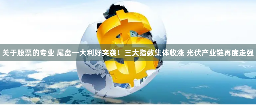 关于股票的专业 尾盘一大利好突袭！三大指数集体收涨 光伏产业链再度走强