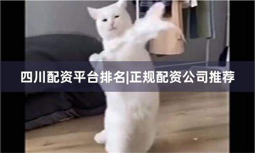 四川配资平台排名|正规配资公司推荐